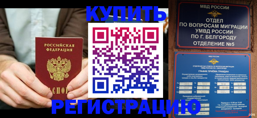 прописка 2025 в Губкине